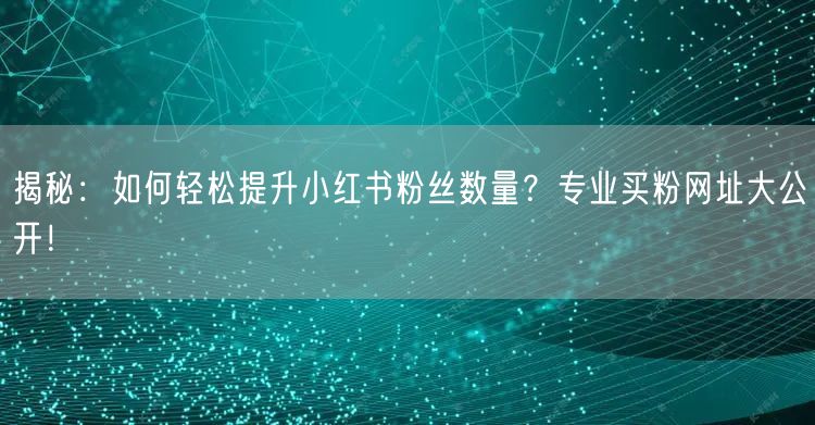 揭秘：如何轻松提升小红书粉丝数量？专业买粉网址大公开！