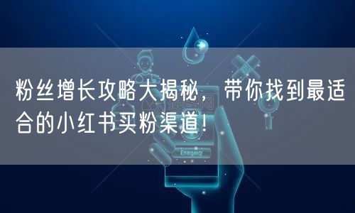 粉丝增长攻略大揭秘，带你找到最适合的小红书买粉渠道！