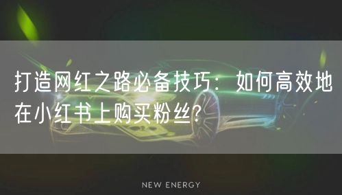 打造网红之路必备技巧：如何高效地在小红书上购买粉丝?