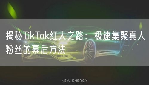 揭秘TikTok红人之路：极速集聚真人粉丝的幕后方法