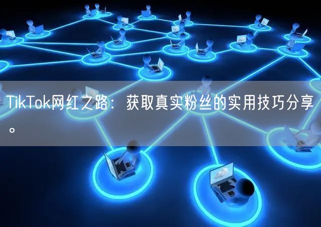 TikTok网红之路：获取真实粉丝的实用技巧分享。